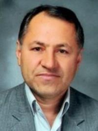 سیدمحمدتقی نجیبی