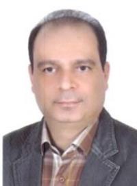 امین پارسائی