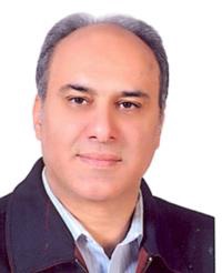 حمیدرضا افشار