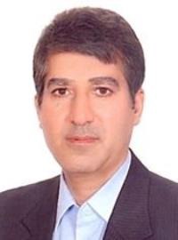 محمدرضا امینی