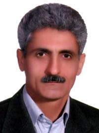 رضا اسلامی نیا