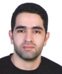 امیرحسین خاک رنگین