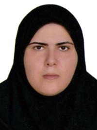 بدری شاه طوسی