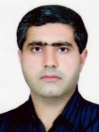 حسن سلیمانی