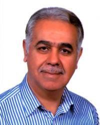 حسین سلطانی رنانی