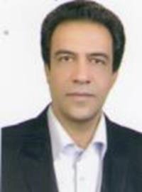 محسن سلیمانی
