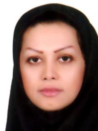مینا رضائی
