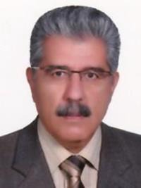 ملک محمد شایق بروجنی