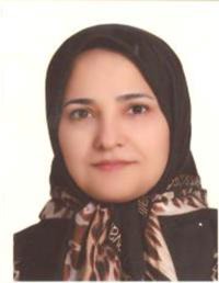 نرگس شیرزادی