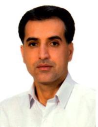علی فولادی