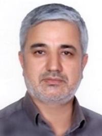 حسین فتحی