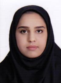 نگار کوچکی