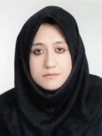 نسرین عظیمی زواره