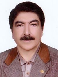 رضا وحیدی