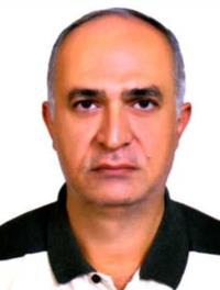 سعید کثیری حبیب آبادی