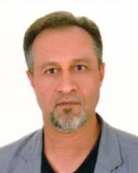 سیدمحمدحسن موسوی شفتی