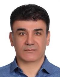 علی رضوی