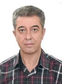حسن شریفی خاتون آبادی