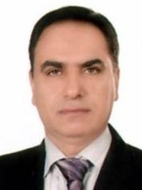 محمدرضا ایوبی