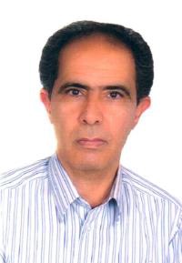 محمدرضا پورجم