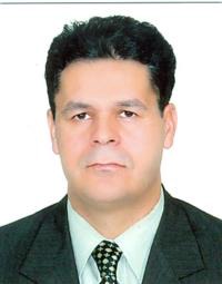 محسن جبل عاملی