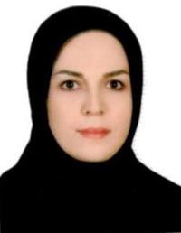 مینا صادقی