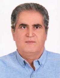مجید دهقان حسین آبادی