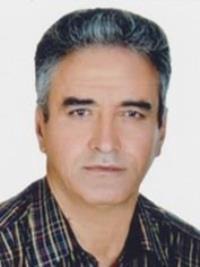 منصور پیرزاد