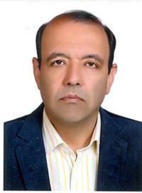 سیاوش امینی چرمهینی