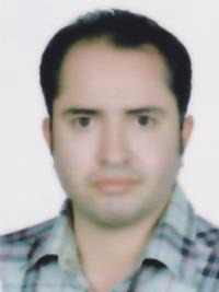 سیدمجتبی سلامتی زواره