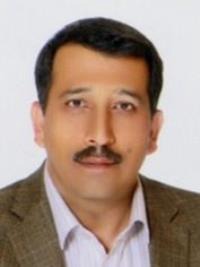 بهزاد محمدی