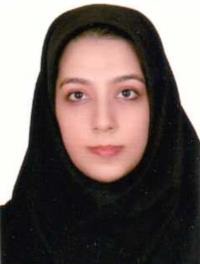 مینا ضیاءبروجنی