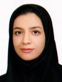 پویش محمدی