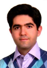 رضا گرک یراقی