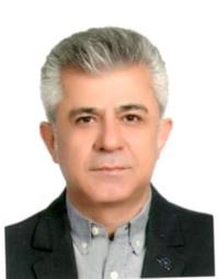 سعید صفائیان پور
